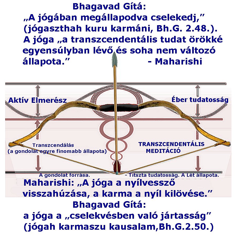 Maharishi a Bhagavad Gítában felfedi a tevékenység hatékony technikáját.