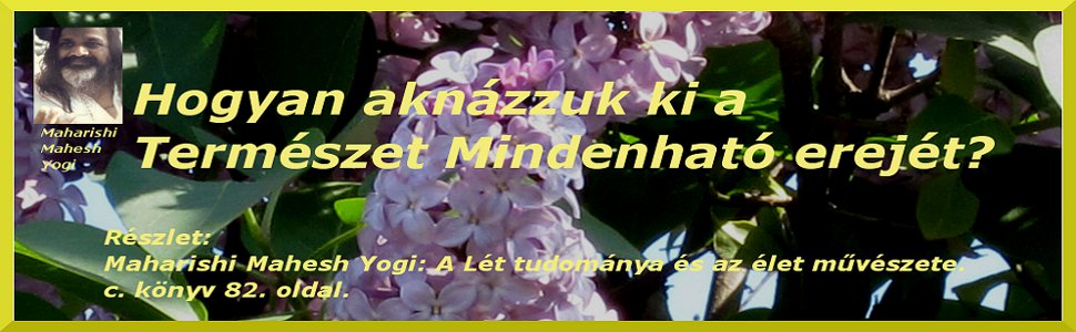 Maharishi Mahesh Yogi Transzcendentális Meditáció 1