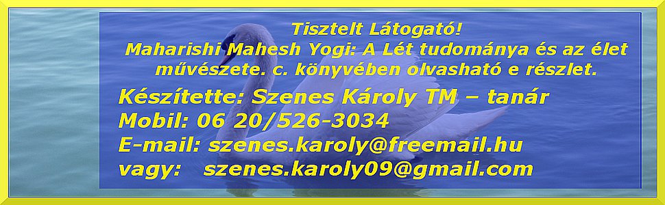 Maharishi Mahesh Yogi Transzcendentális Meditáció 7